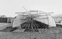 Agrarland Vorderpfalz 60