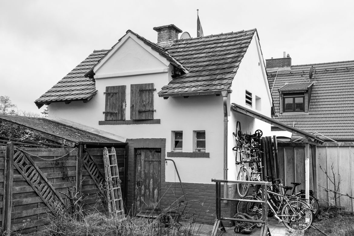 _DSC0541