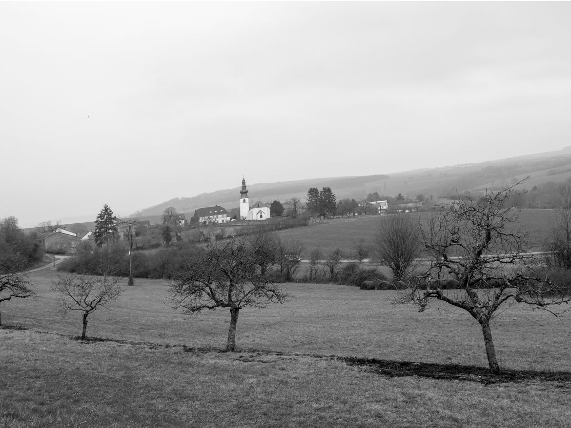 Bild 03