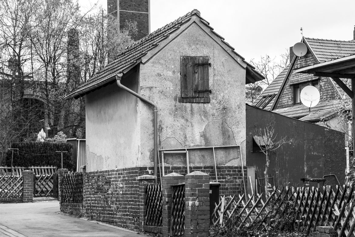 _DSC0553