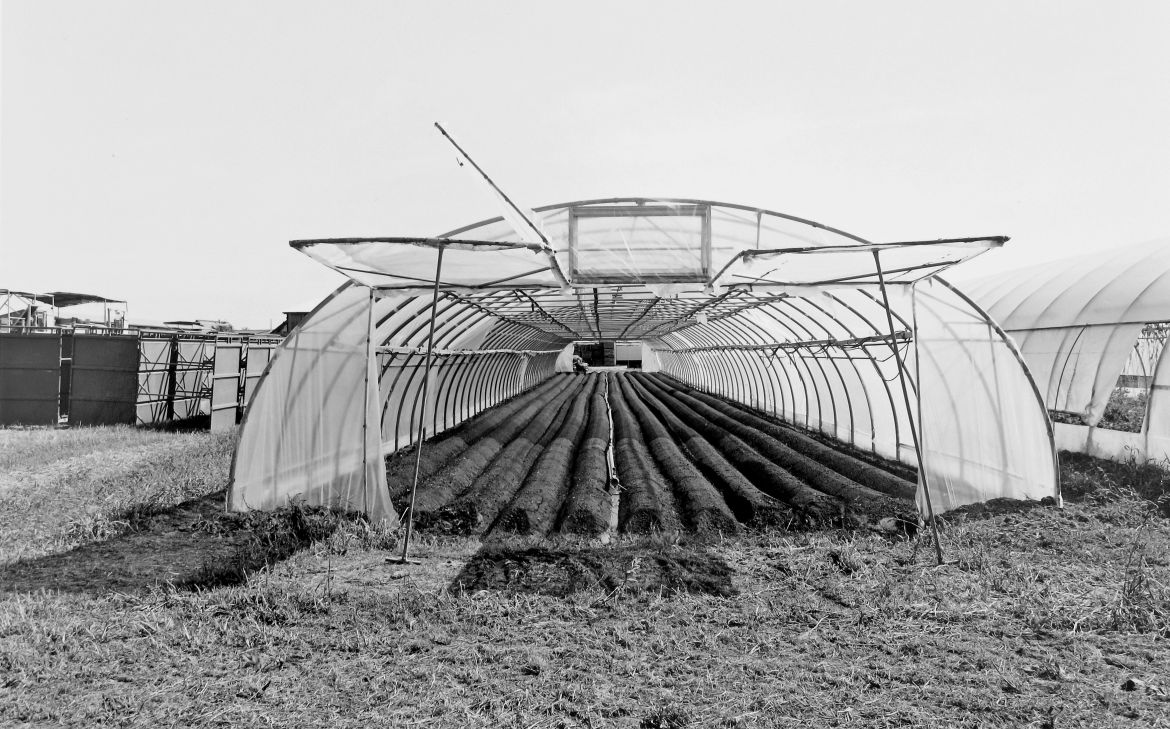 Agrarland Vorderpfalz 60