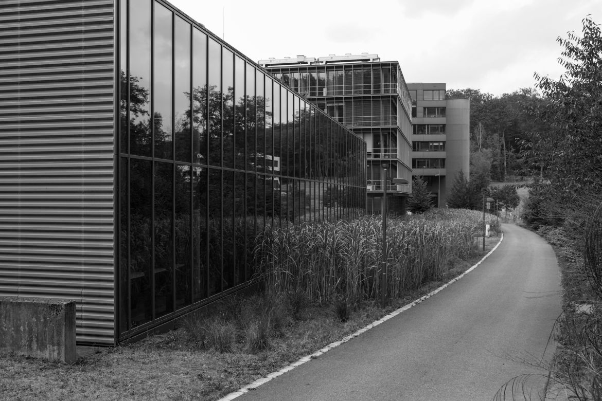 lichtung-38