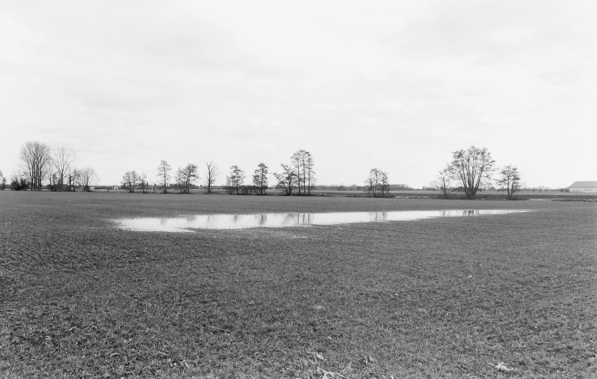 Agrarland Vorderpfalz 4