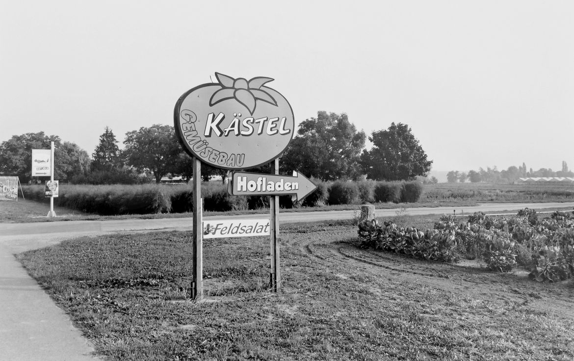 Agrarland Vorderpfalz 59