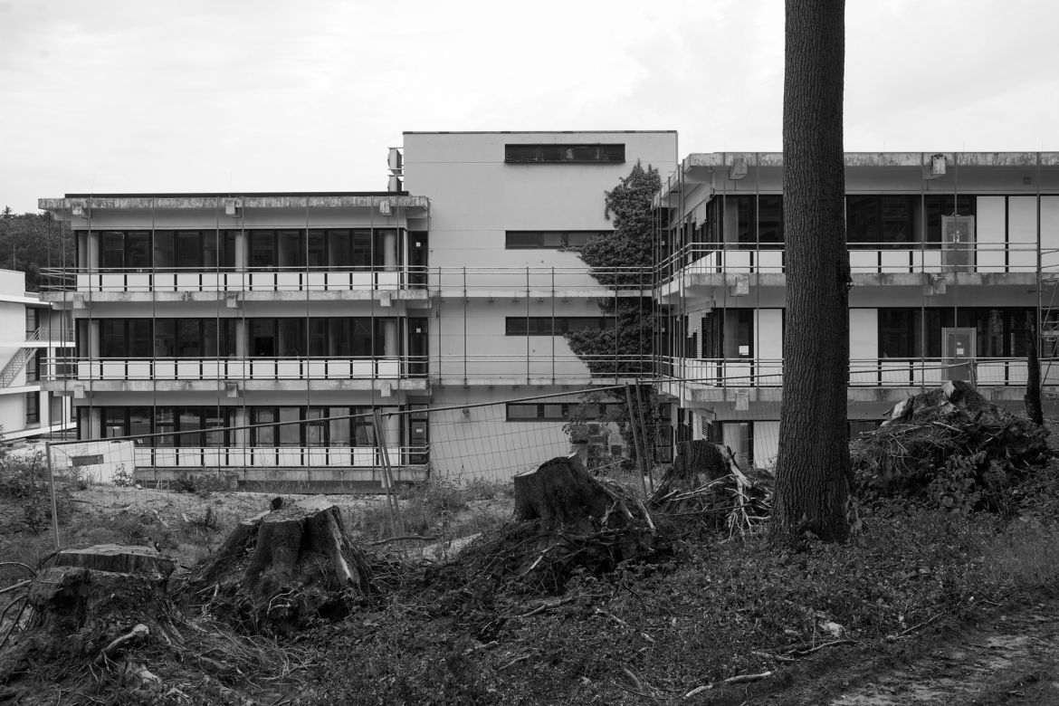 lichtung-46