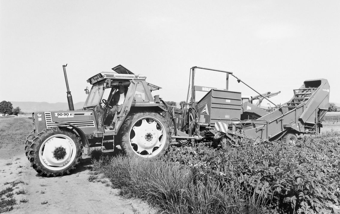 Agrarland Vorderpfalz 80