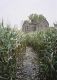 22_chantalv_196F_1_2010