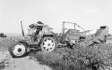 Agrarland Vorderpfalz 80