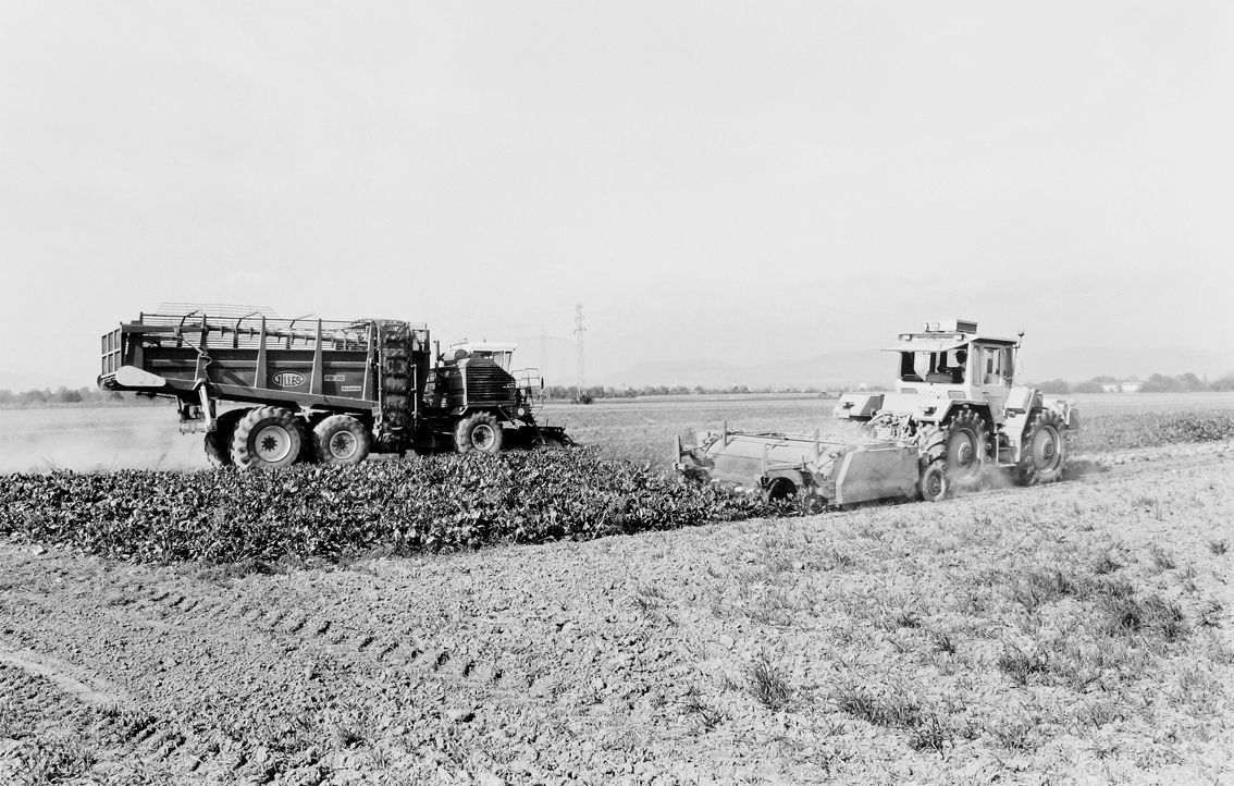 Agrarland Vorderpfalz 94