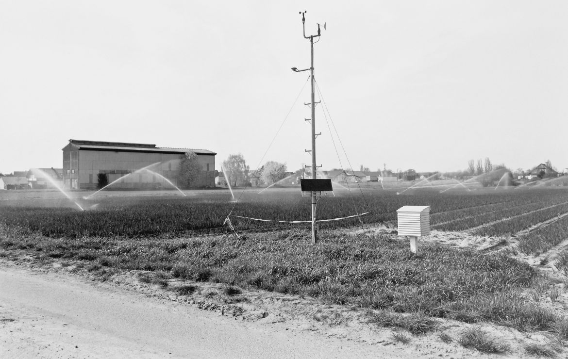 Agrarland Vorderpfalz 19